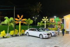 IMG-3817